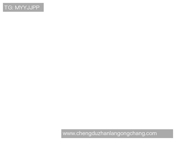 广州极限运动队转型之路：得失与挑战的深度分析与反思