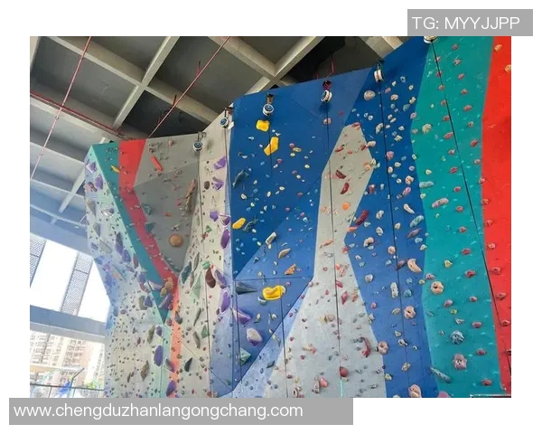 杭州攀岩队的阵地战体系与攀岩战术的深度解析与实践探讨