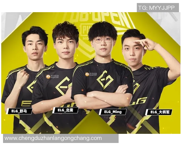 聚焦和平精英TES战队的意识提升与团队协作探讨