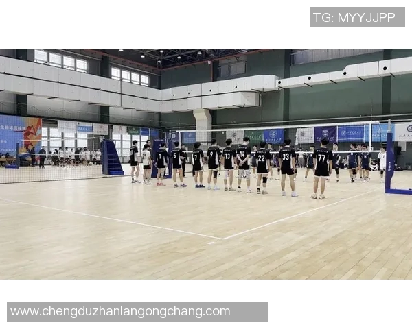 西安排球队实力解析与发展潜力探讨的全面分析与展望