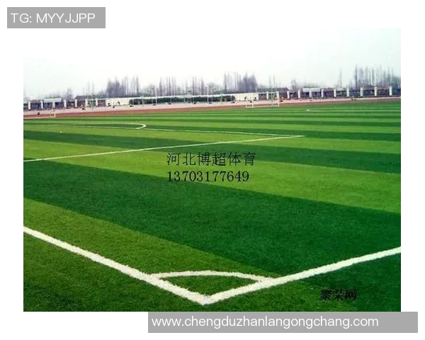 温布利草坪质量引发球员集体不满欧冠决赛场地争议升级 温布利草坪质量引发球员集体不满欧冠决赛场地争议升级