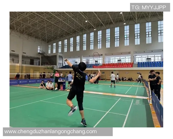 重庆羽毛球队心理素质深度对比分析与竞技表现的关系探讨