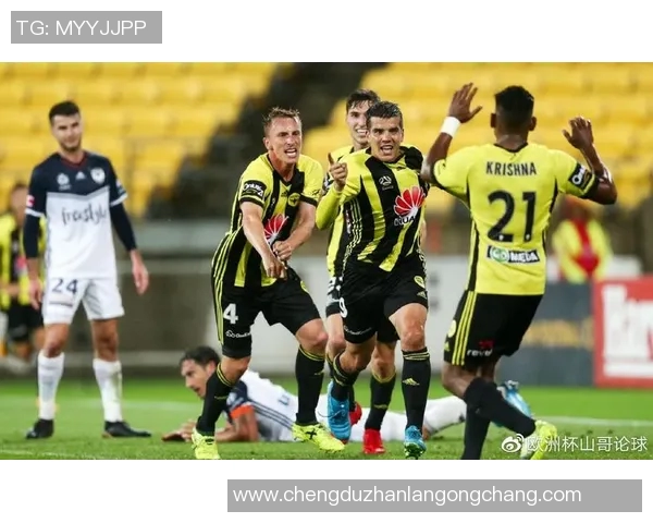 中央海岸水手迎战惠灵顿凤凰力争主场胜利展现实力与团队精神